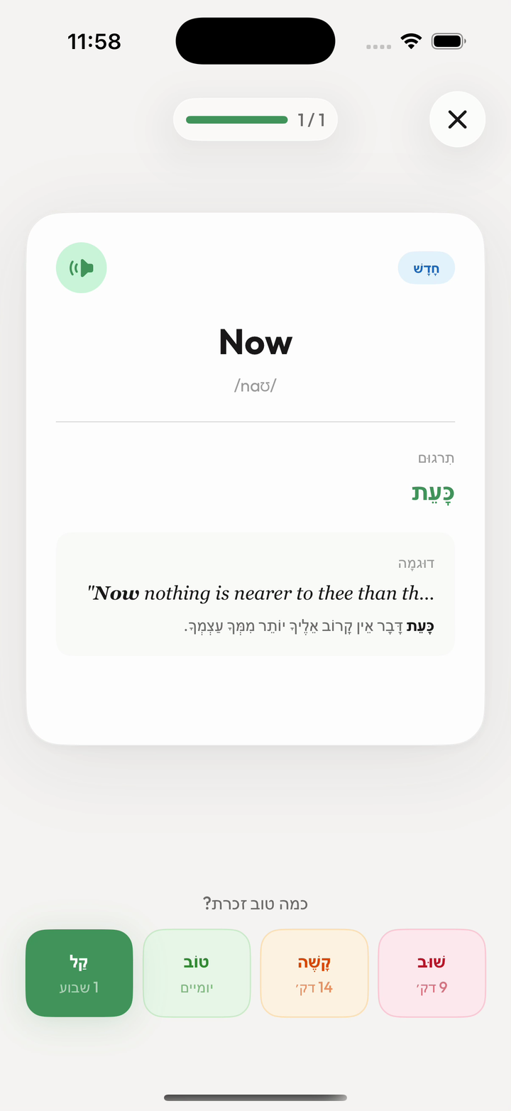 תרגול כרטיסיות ב-Kalima עם דירוג הזיכרון